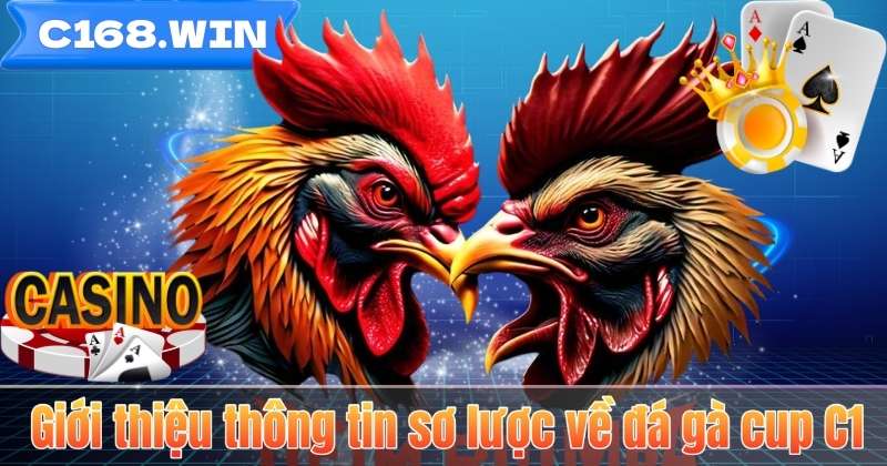 Giới thiệu thông tin sơ lược về đá gà cup C1